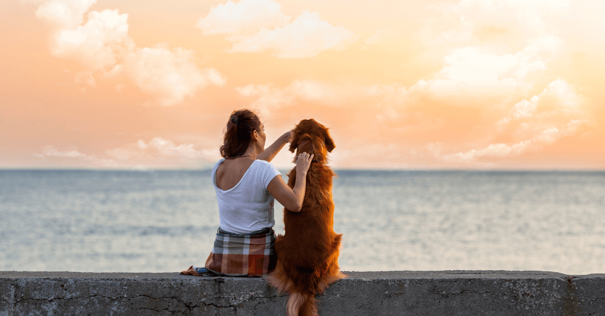 I migliori stabilimenti balneari per cani a Viareggio