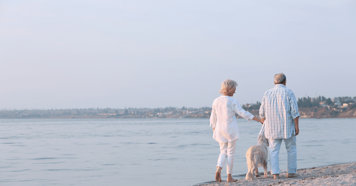 I migliori stabilimenti balneari per cani a Baia Domizia
