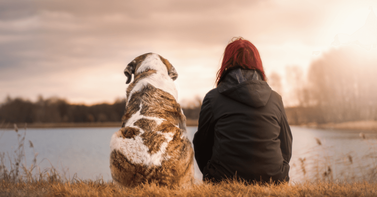I migliori stabilimenti balneari per cani a Campomarino