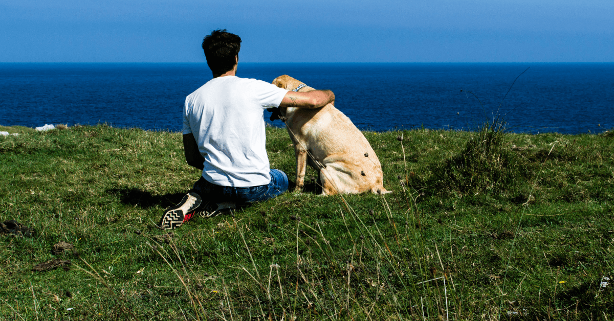 I migliori stabilimenti balneari per cani a Otranto