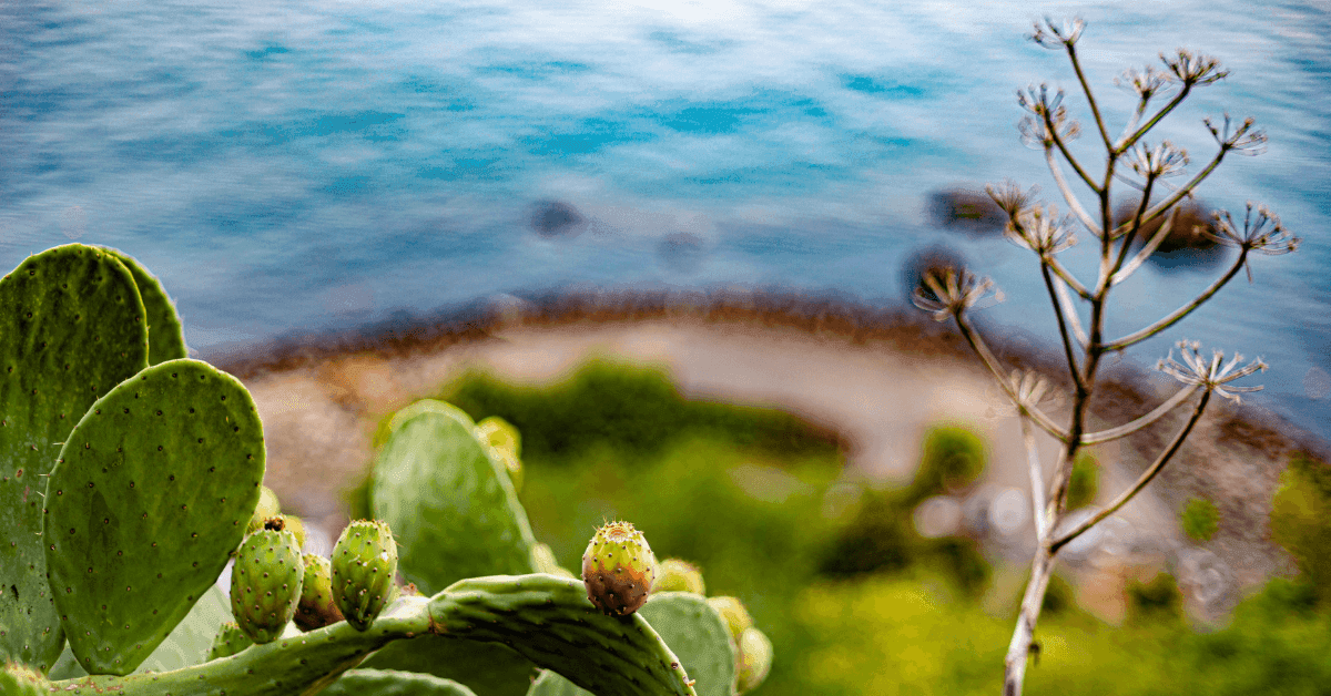 Alla scoperta delle migliori spiagge di Acireale