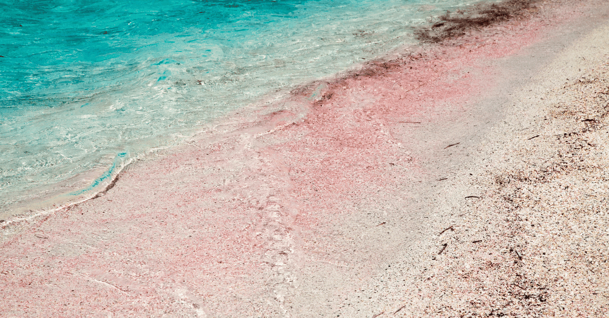 Spiagge con sabbia rosa - la top 5