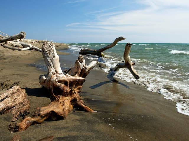 Maremma