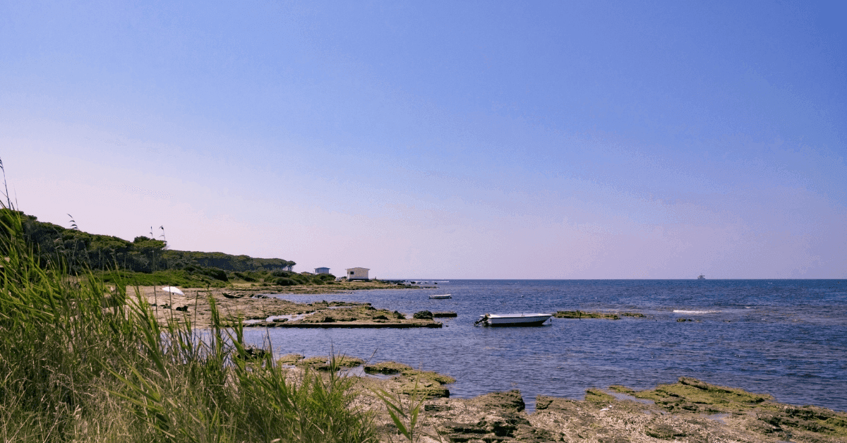 Spiagge a Civitavecchia: la Top 5